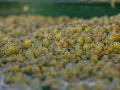Frogmore Creek Winery