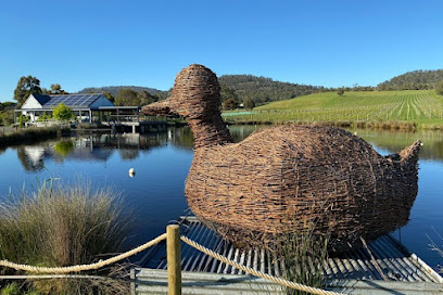 Puddleduck Vineyard