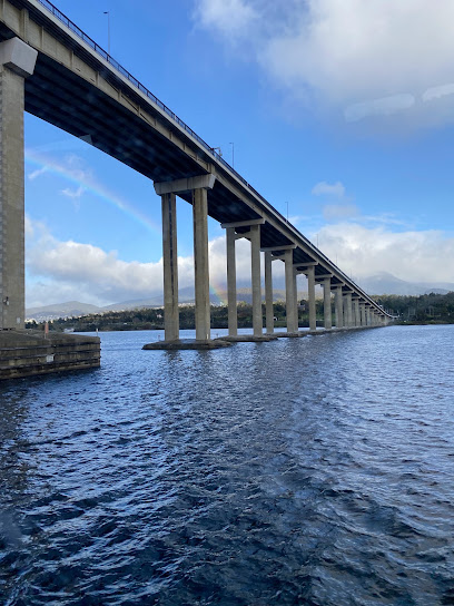 Tasman Bridge