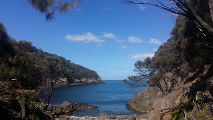 Fluted Cape Walk