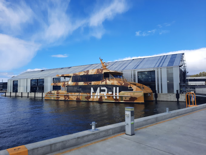 Mona Ferry