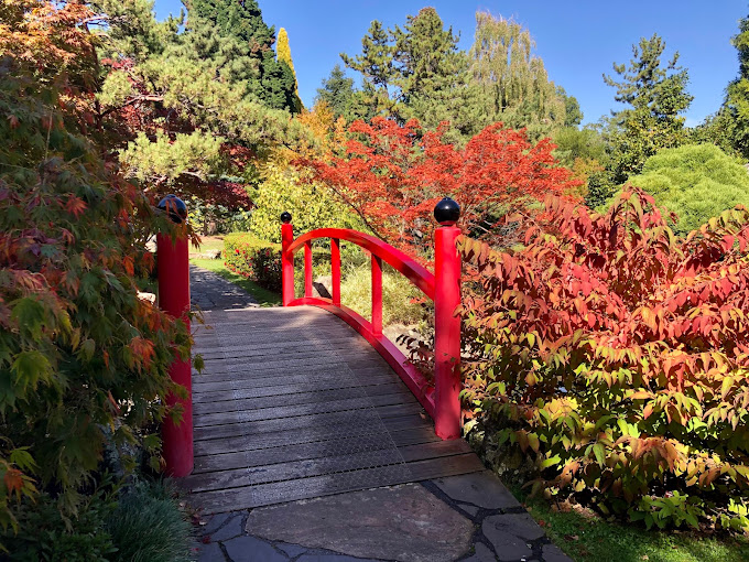 Royal Tasmanian Botanical Gardens