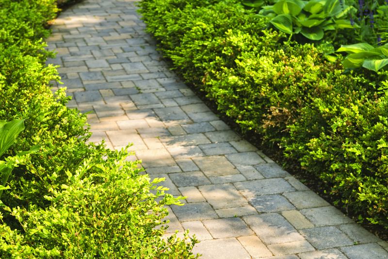walkway in a garden