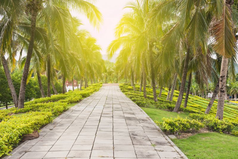 footpath made with concrete slabs