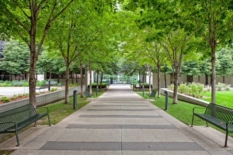 concrete walkway sta aprk with benches on the side
